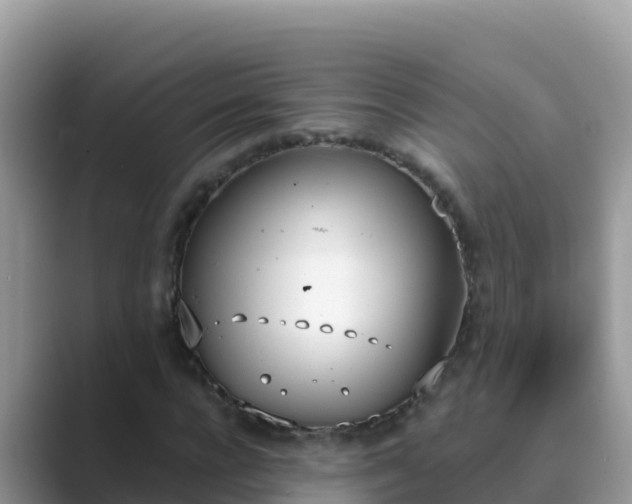 X0000089830920200707051036