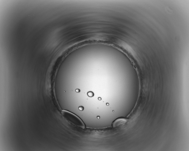 X0000089830923200707051036