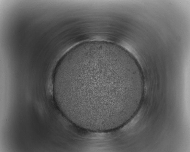 X0000089830925200707051036