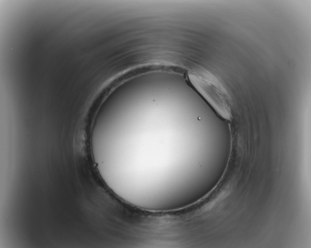 X0000089830926200707051036