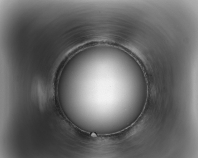 X0000089830927200707051036