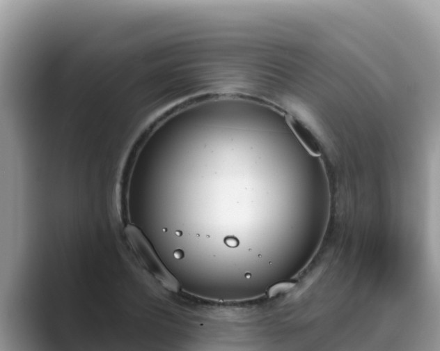 X0000089830932200707051036