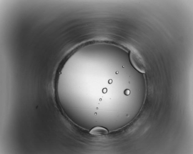 X0000089830935200707051036