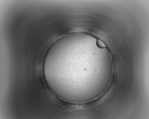 X0000089830937200707051036