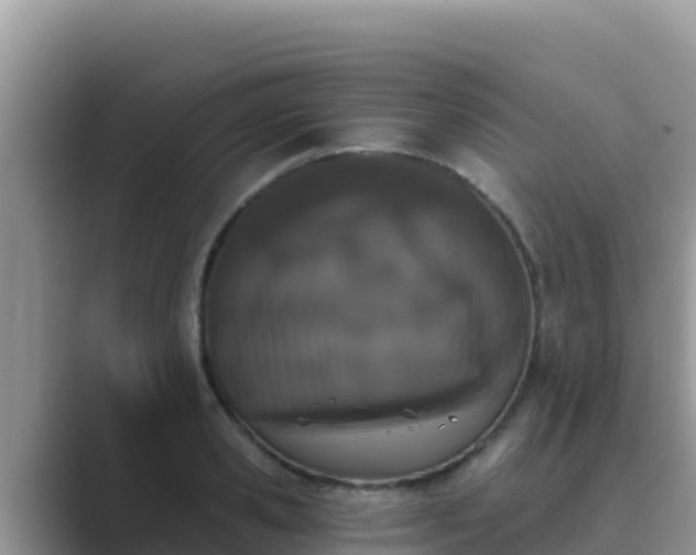 X0000089830941200707051036