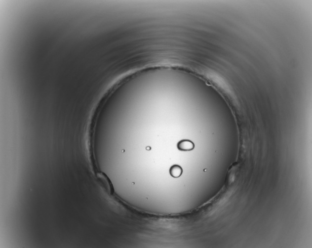 X0000089830942200707051036