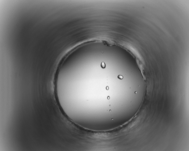 X0000089830944200707051036