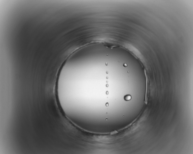 X0000089830946200707051036