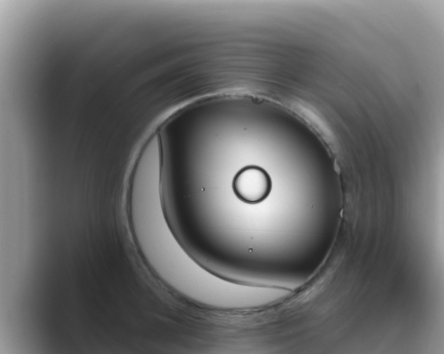 X0000089830948200707051036