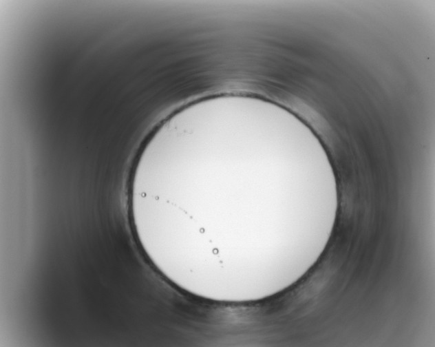 X0000089830950200707051036