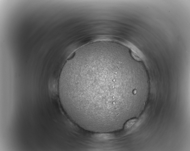 X0000089830953200707051036