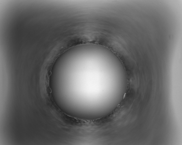 X0000089830961200707051036