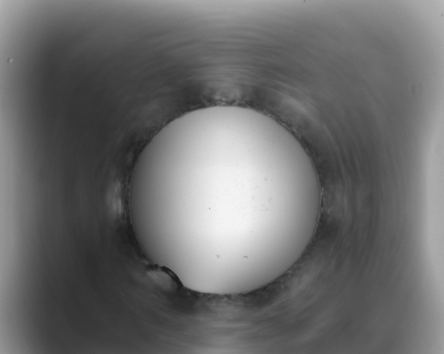 X0000089830962200707051036