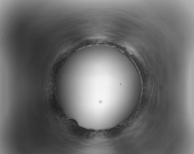 X0000089830967200707051036