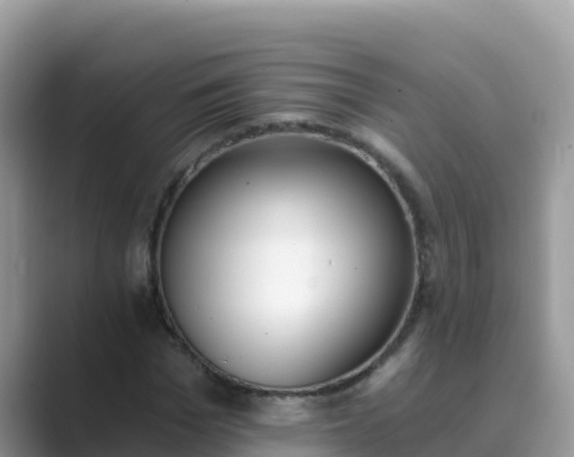 X0000089830969200707051036