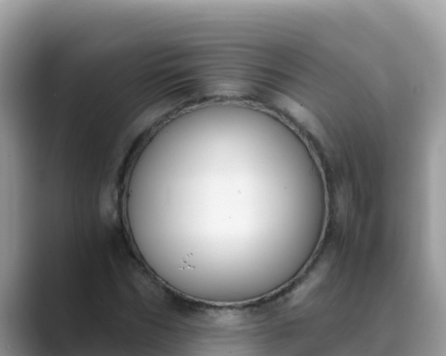 X0000089830970200707051036