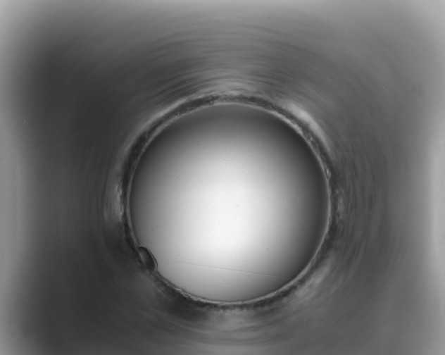 X0000089830973200707051036