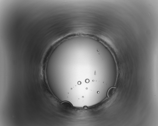 X0000089830974200707051036