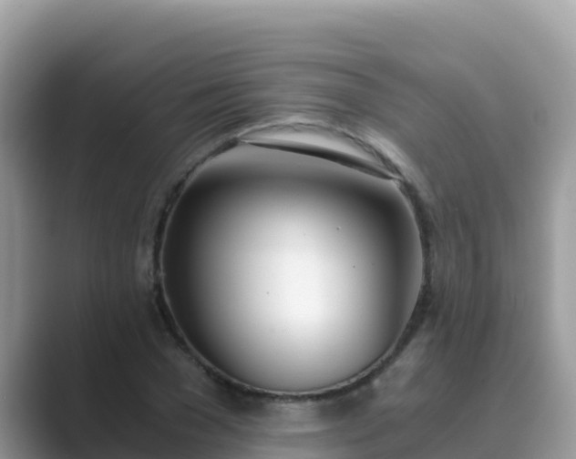 X0000089830977200707051036