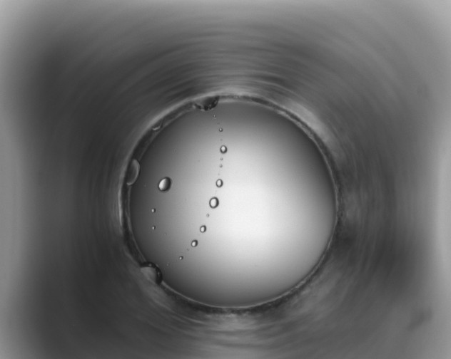 X0000089830980200707051035