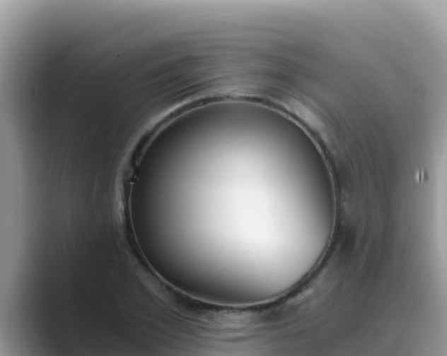 X0000089830981200707051035