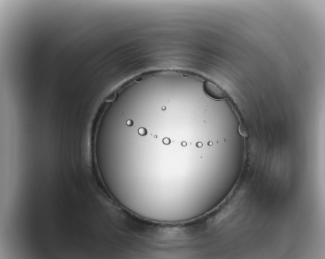 X0000089830982200707051035