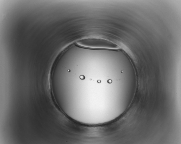 X0000089830988200707051035