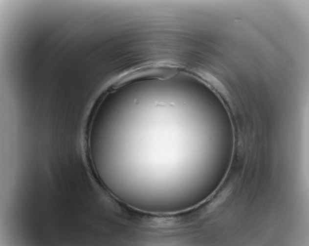 X0000089830989200707051035