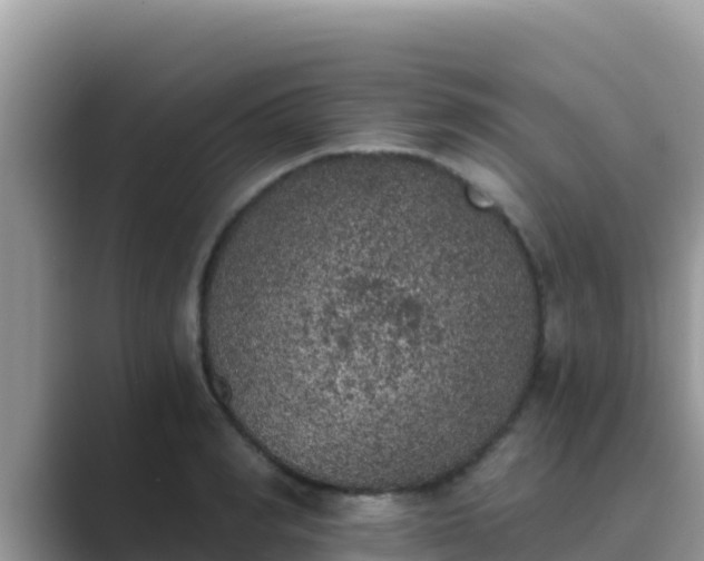 X0000089830990200707051035