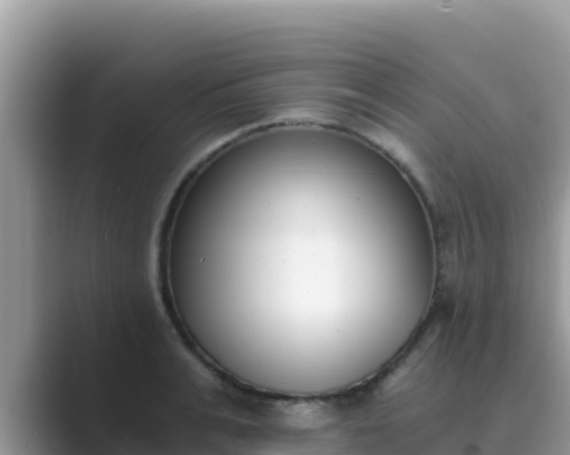 X0000089830991200707051035