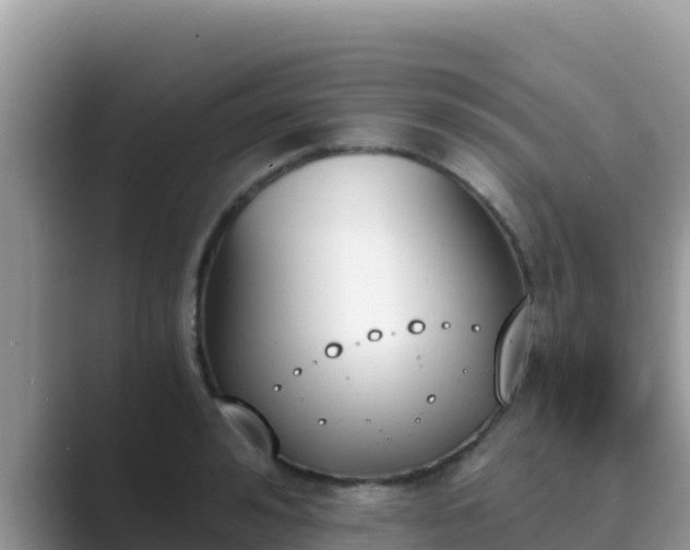 X0000089830992200707051035