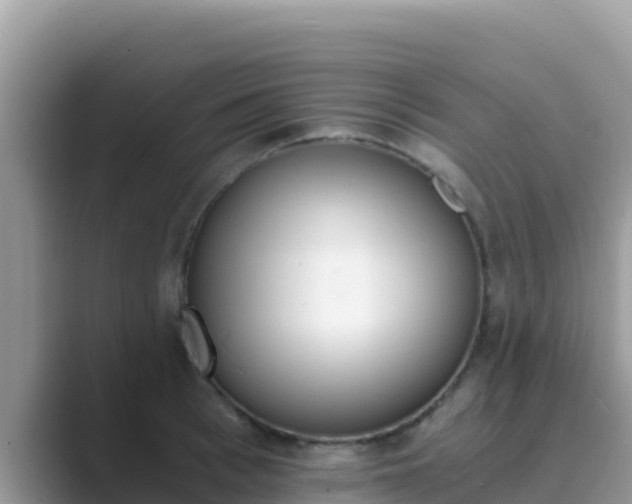 X0000089830993200707051035