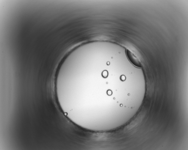 X0000089831000200707051035