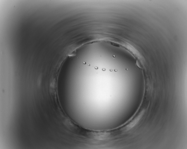 X0000089831001200707051035