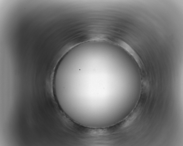 X0000089831002200707051035