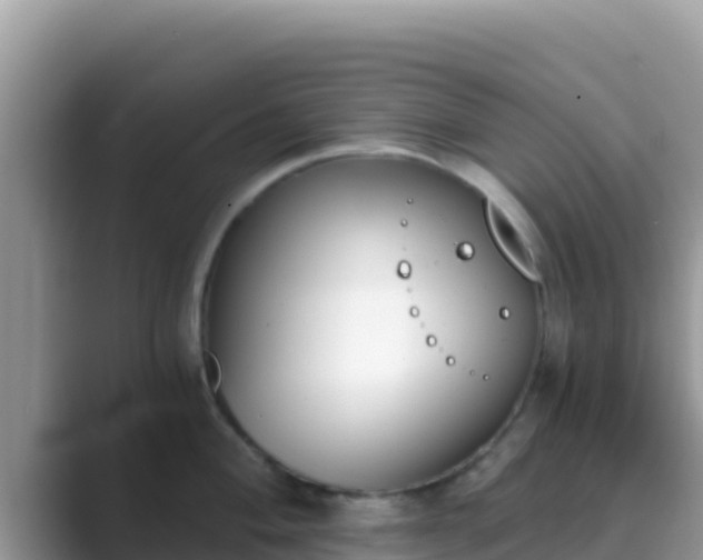 X0000089831004200707051035