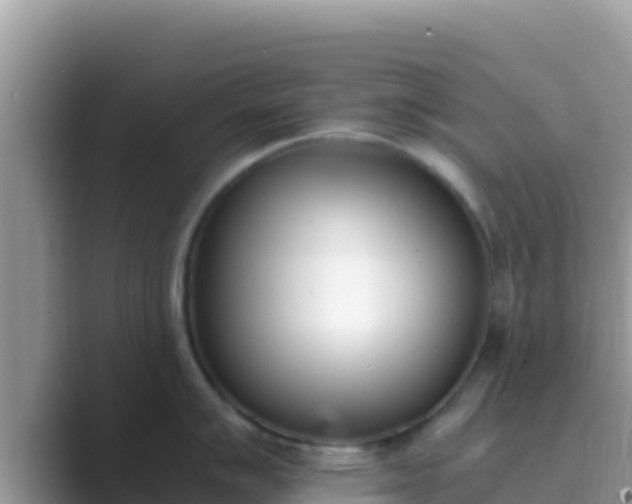 X0000089831007200707051035