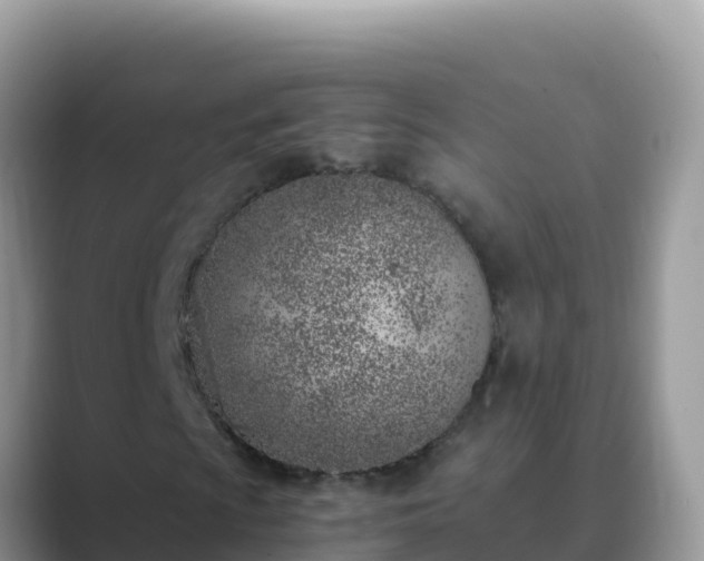 X0000089831009200707051035
