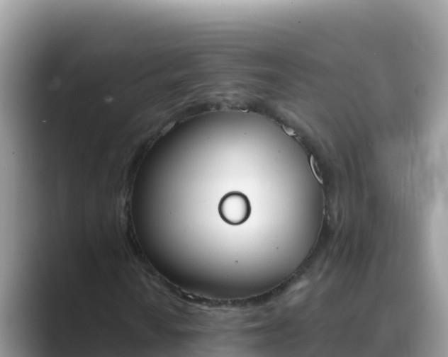 X0000089831010200707051035