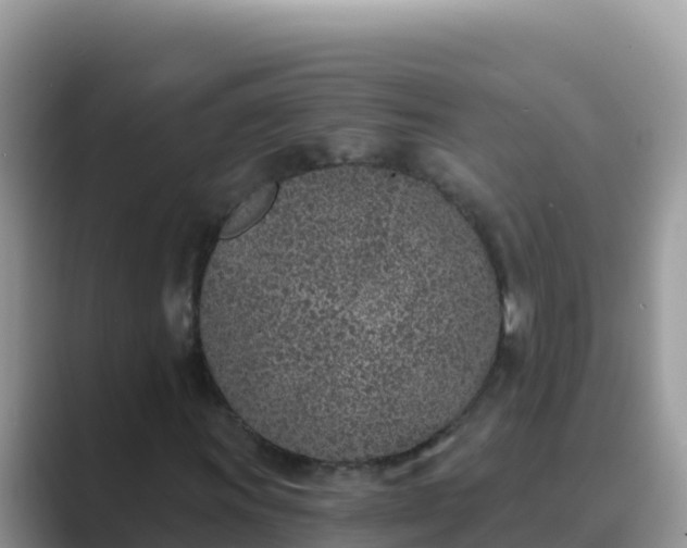 X0000089831011200707051035