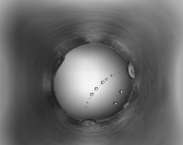 X0000089831012200707051035