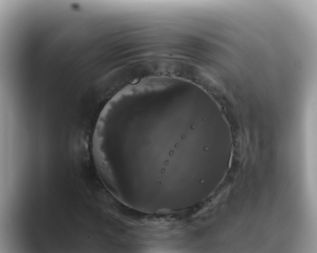 X0000089831013200707051035