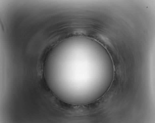 X0000089831015200707051035