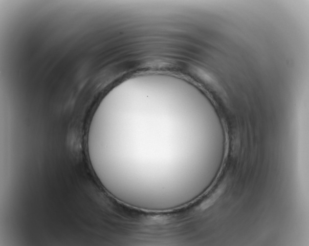 X0000089831017200707051035