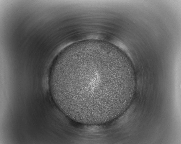 X0000089831019200707051035