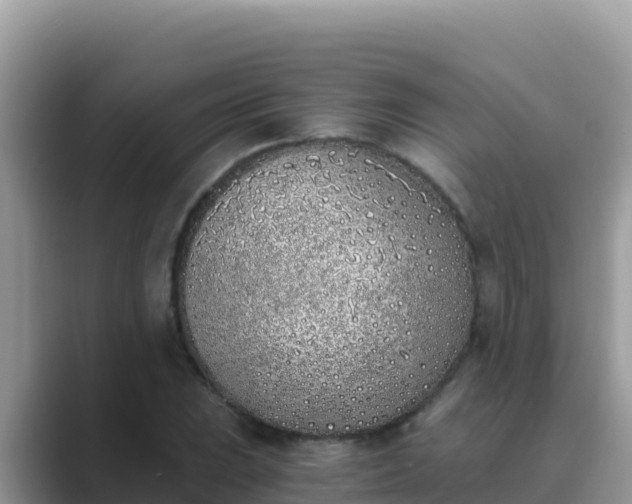 X0000089831023200707051035