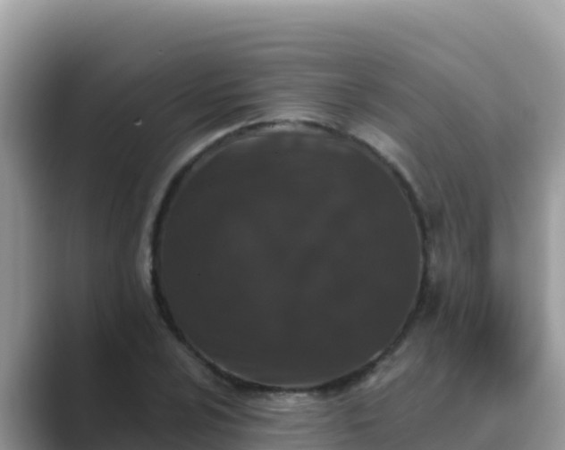 X0000089831024200707051035