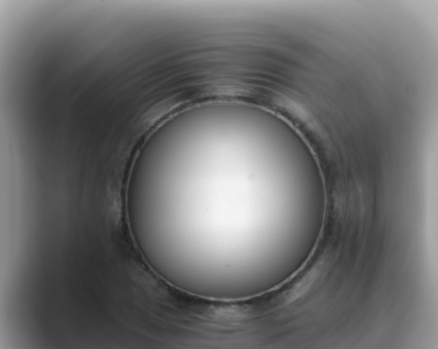 X0000089831025200707051035