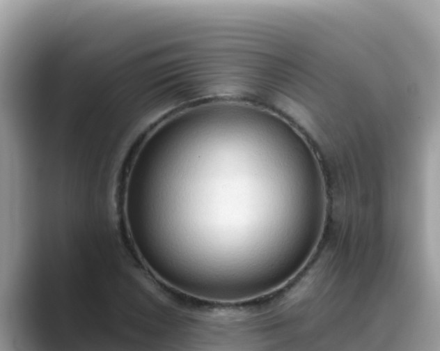 X0000089831026200707051035