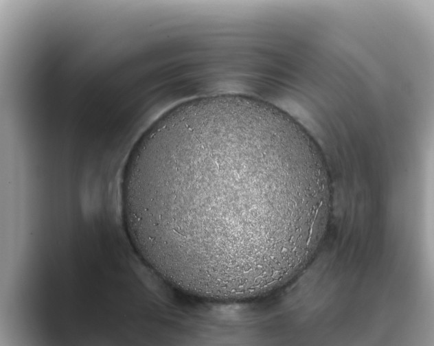 X0000089831031200707051035